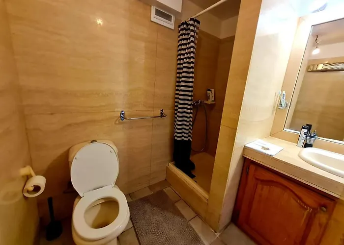 Apartment T2 Rue Pietonne Climatise *